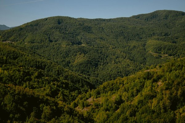 Créer jeu chatbot : engagez vos clients avec botnation