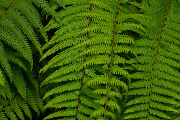 L'importance de la maintenance industrielle électrique pour votre usine